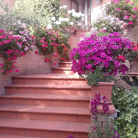 B&B Europe Molino Ciccolini