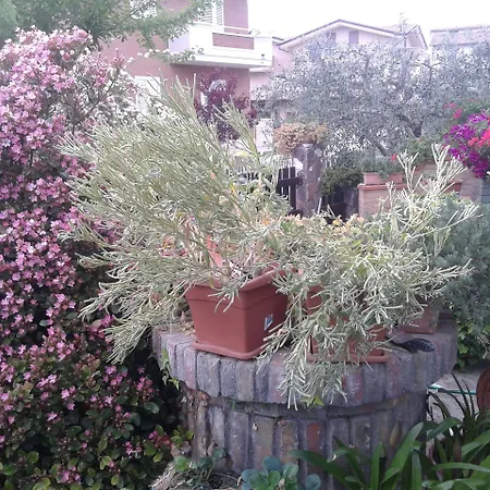 Bed and Breakfast Europe *