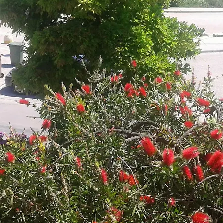 Bed and Breakfast Europe *