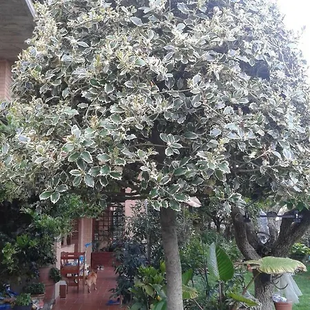 Bed and Breakfast Europe Molino Ciccolini